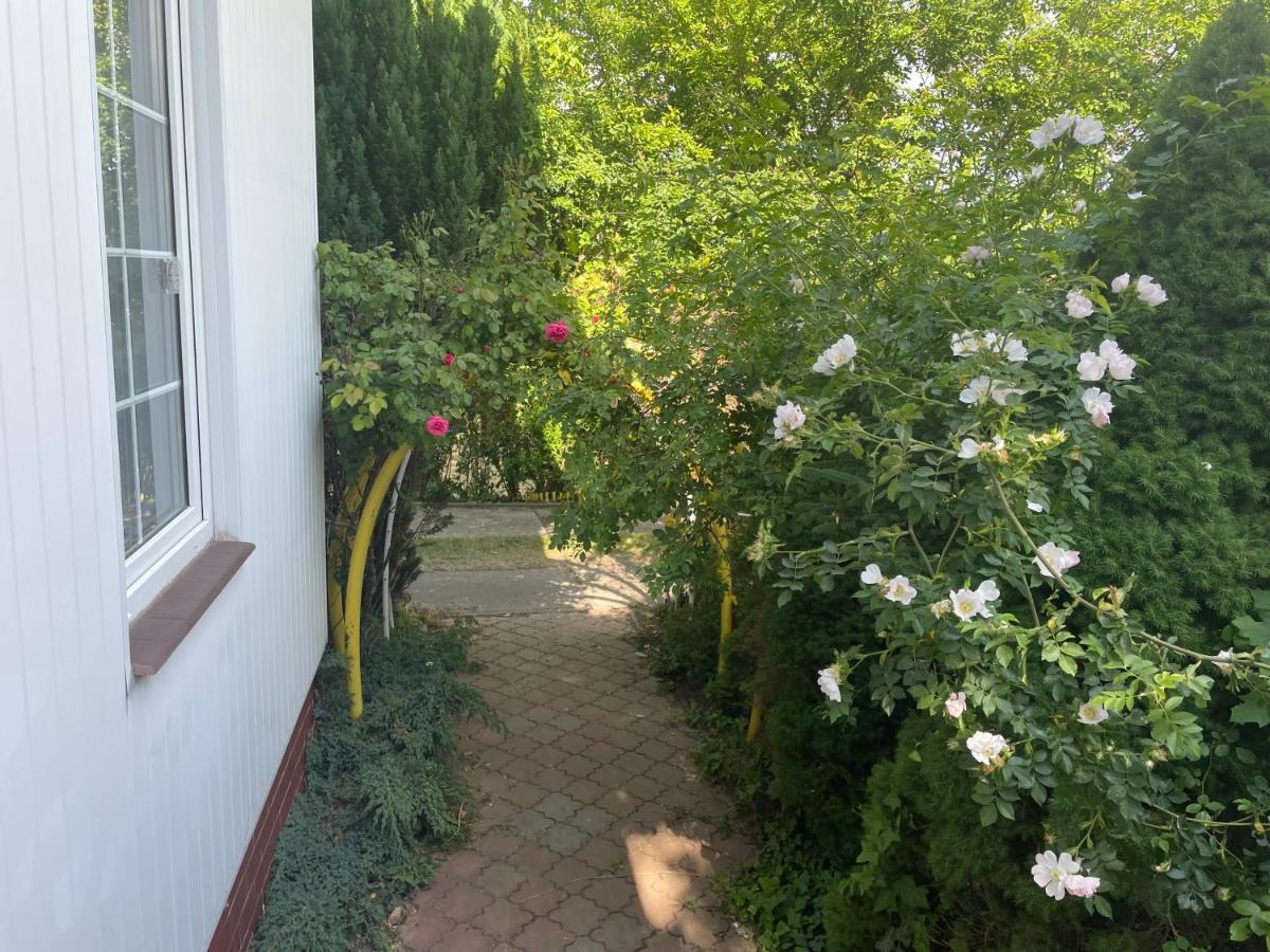 Holiday home Dom Morska 7